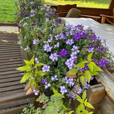 Klein Aber Oho! Neues In Stadt- Und Fuldanaehe 公寓 卡塞尔