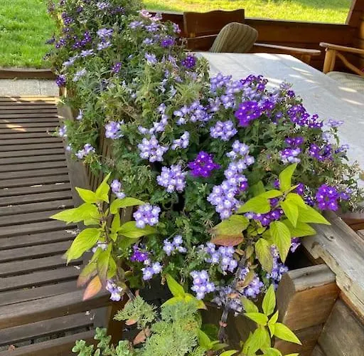 Klein Aber Oho! Neues In Stadt- Und Fuldanaehe 公寓 卡塞尔